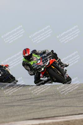 media/Feb-21-2025-Lets Ride (Fri) [[f483f33afd]]/Race Group/11am (Outside Grapevine)/